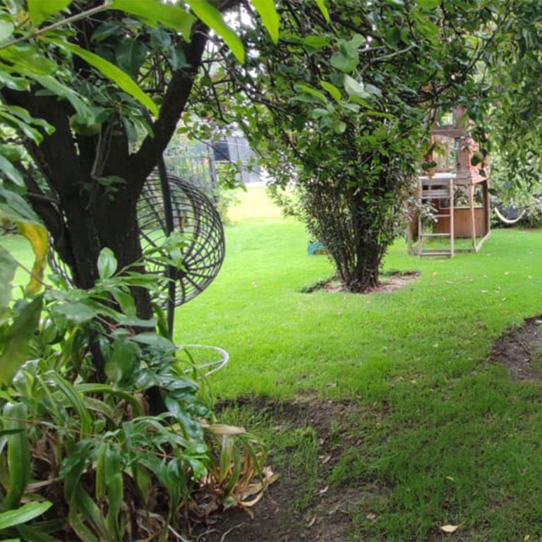 Jardin2