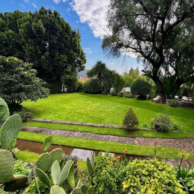 jardin1