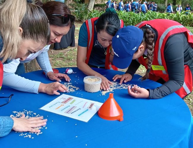 Imagen de WhatsApp 2024-07-03 a las 21.44.33_2361a9e4