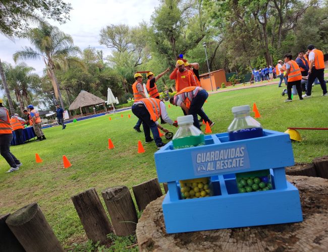 Imagen de WhatsApp 2024-07-04 a las 10.09.51_44ca2301