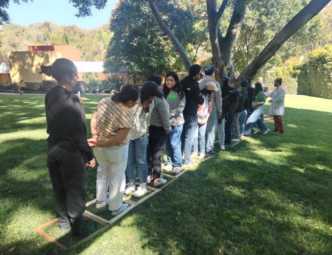 Imagen de WhatsApp 2024-11-27 a las 20.22.45_251ef6d2