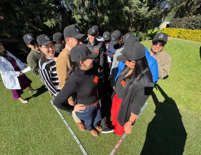 Imagen de WhatsApp 2024-12-02 a las 12.43.46_31c8002e