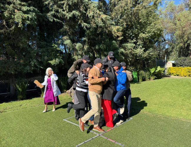 Imagen de WhatsApp 2024-12-02 a las 12.43.47_83b93d5c