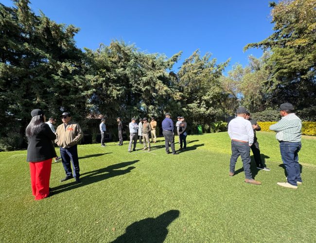 Imagen de WhatsApp 2024-12-02 a las 12.43.48_ffceb8bf