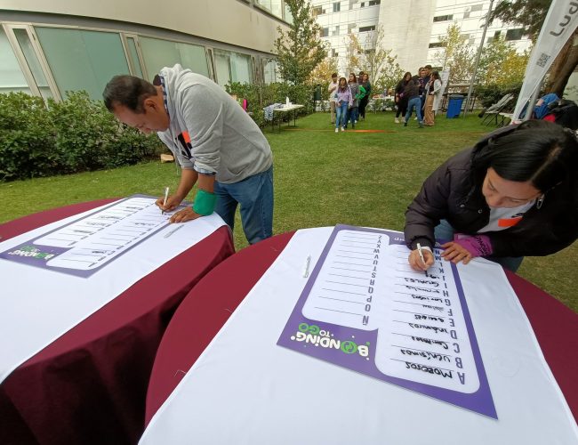 Imagen de WhatsApp 2024-12-10 a las 08.51.15_79b2e349