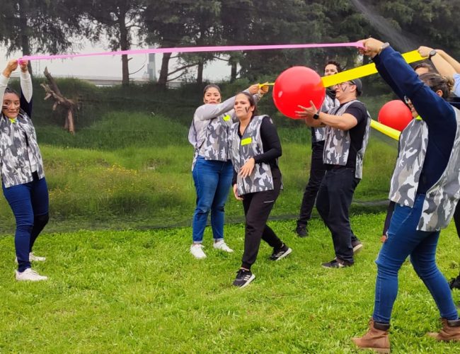 WhatsApp Image 2023-07-28 at 08.55.20