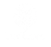 Ludicorp